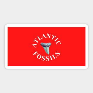 Red and White Nautical Light Blue Atlantic Fossils Shark Tooth Print Sticker